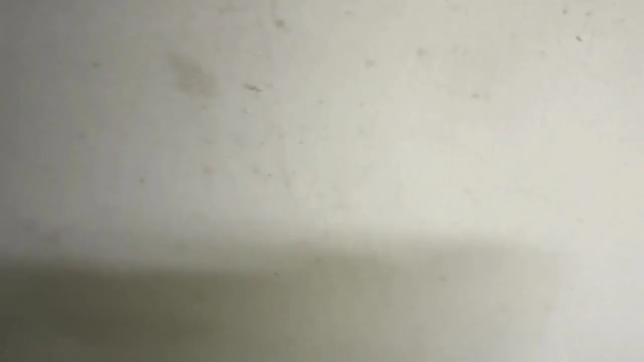 Qingshen Cha'o NO.012 - Streamer Assault